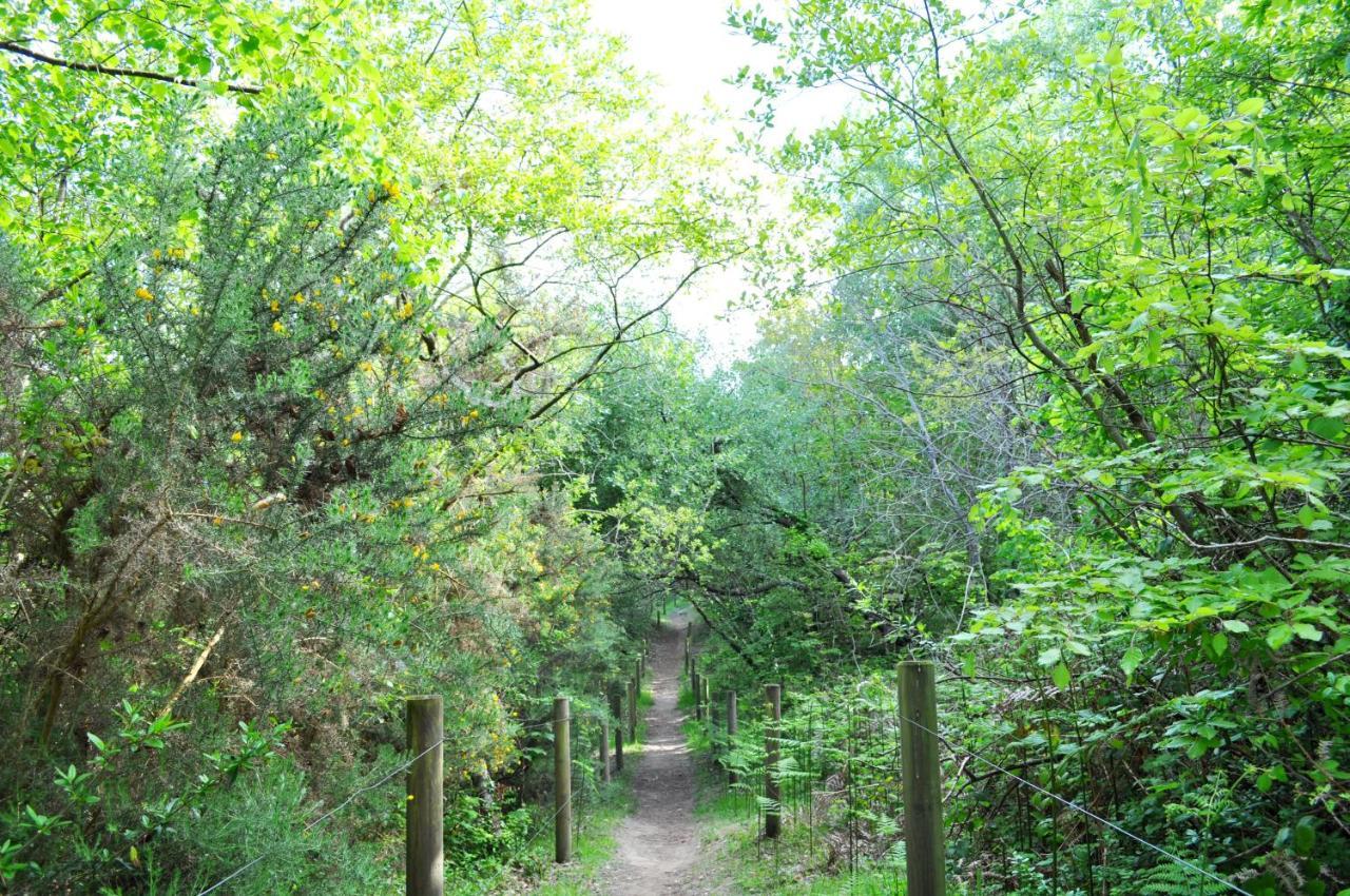 Camping Village Nature D'O Hillion Exterior photo